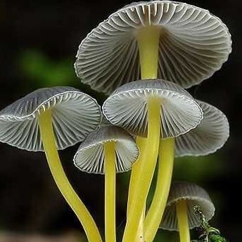 Aussie Psychiatrist specialising in Veterans’ Mental Health and Advocacy
Permanently suspended from Twitter for posting...