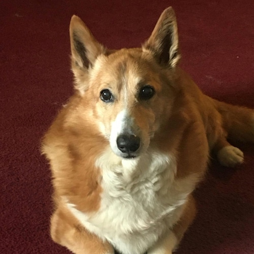 Proud American Patriot. I support our Constitution, our Flag, our Law Enforcement, our First Responders, the 2nd Amendme...