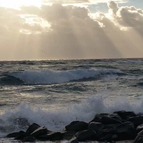 Optimistically logical and highly determined South Florida Native.