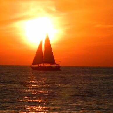 Conservative Christian Patriot