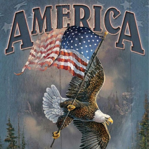 Army veteran who loves America