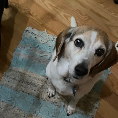 Visit Dougie79's profile on GETTR. View their posts, photos, videos, and connect with them on the social platform.