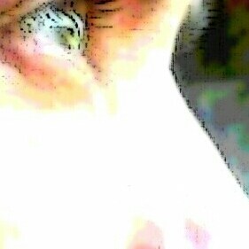 Visit ♫ ♪ ♫Beto Couto♫ ♪ ♫'s profile on GETTR. View their posts, photos, videos, and connect with them on the social platform.