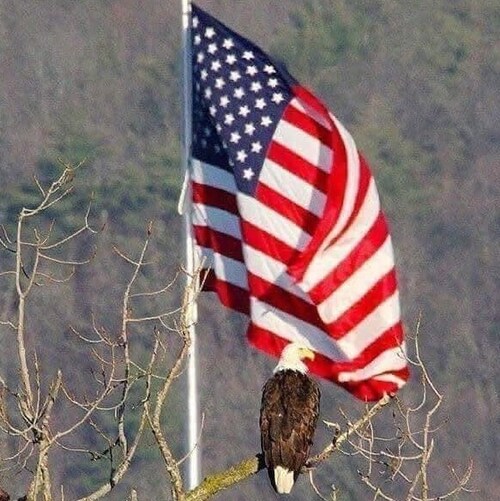 USN Vet, Patriot, Outdoorsman, Father/Husband/Friend