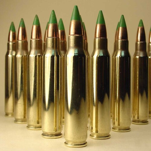 Patriot.  All you need to know for when SHTF.