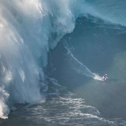 Truth Seeker who loves God, Jesus and the Holy Spirit. Pro-Life, Pro-Gun and Pro Trump.