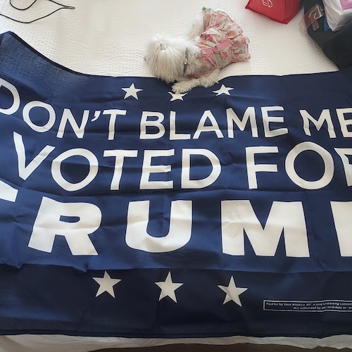 Texas Trumper #TERMLIMITATIONS #STARTOVER #INDICTMENTSNOW                  
Buh bye Kamaltoe🐫 and Sleepy sleezy Joe!!🇺🇸🇺🇸 MAGA4EVER
Come and Take It!🇨🇱