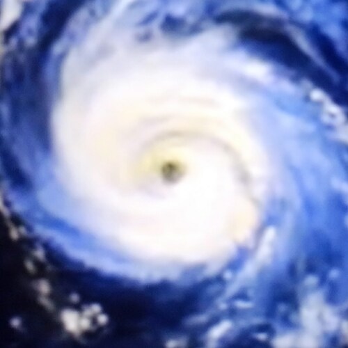 Patriot, MAGA, The Constitution Rules