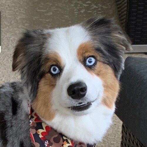 Visit TimSwope's profile on GETTR. View their posts, photos, videos, and connect with them on the social platform.