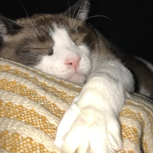 Mom, Catholic, Farmer & Scientist.