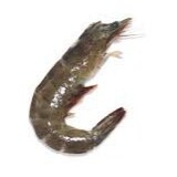 Quotes and acronyms fan. ESG (Extremely Sexy Guy). NPC (Not Politically Correct). Asshole/asshole