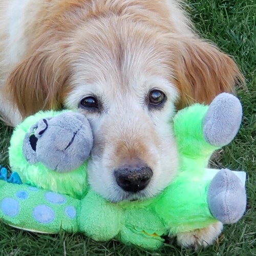 God family and fly fishing