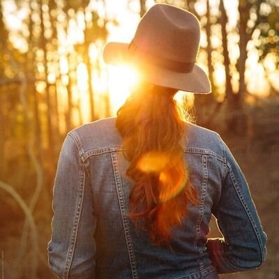 Visit Fire Lily's profile on GETTR. View their posts, photos, videos, and connect with them on the social platform.