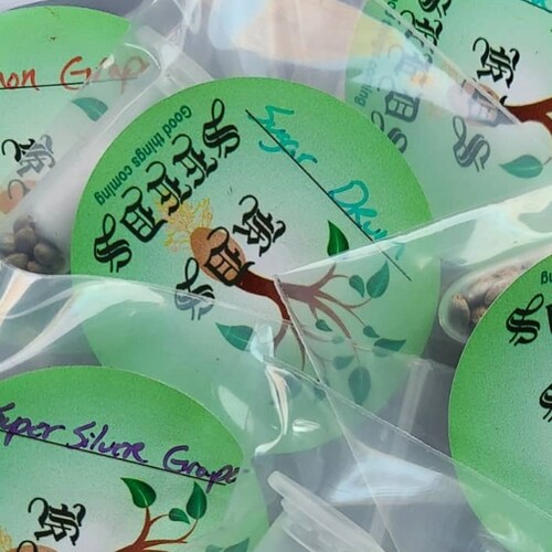 a conservative cannabis breeder