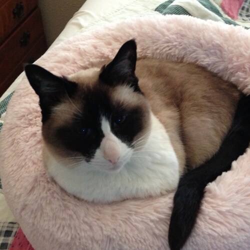 🇺🇸🇺🇸MAGA🇺🇸🇺🇸❤️#Married❤️#Christian❤️#Patriot❤️#ProMilitary❤️America First