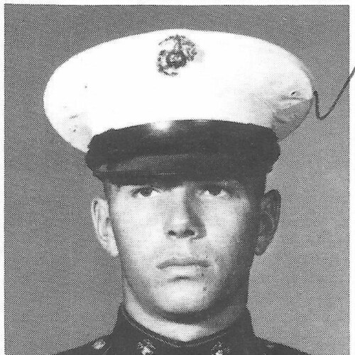 USMC Vietnam Vet 3rd/bat 4th/Marines 66/67