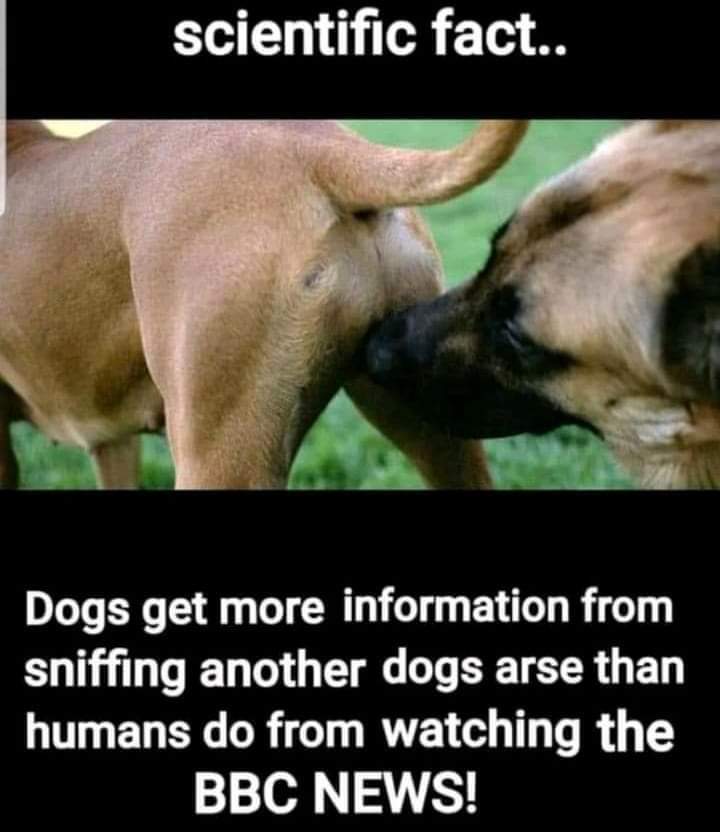 View timritson19's post on GETTR. Join the discussion, share your thoughts, and connect with the community.