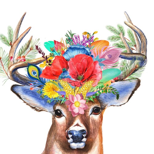 love the USA,my shihtzu,3 parrots and my family.A Republican that voted for Trump.