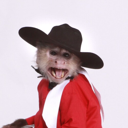 Husband.  Father.  Patriot.
Banned from Twitter, so you know I’m one of the good guys.