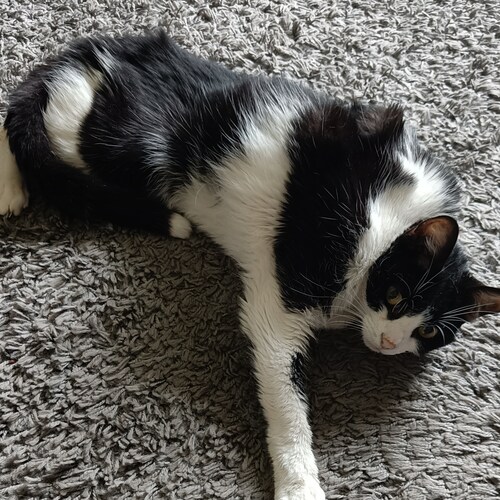 GETTR - Hopefull freespeach will survive. 
Love - Sport. Cars. Music. Good People.
Hate -. Idiots.