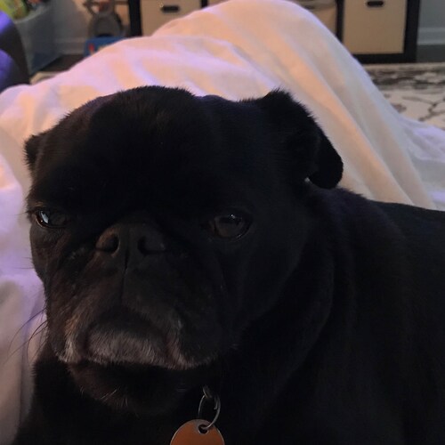 Wife, mom, Gramma, and hard working American just trying to live free and understand what’s happening to our blessed cou...