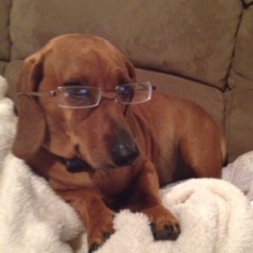 Visit ArealPaine 🍊's profile on GETTR. View their posts, photos, videos, and connect with them on the social platform.