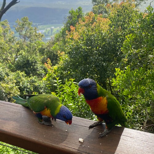 Ph.D. Founder #personalityandplace helping people to explore the moods, activities and places in your life. We are bette...