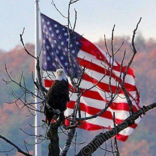 Proud decendant of a long line of American patriots.