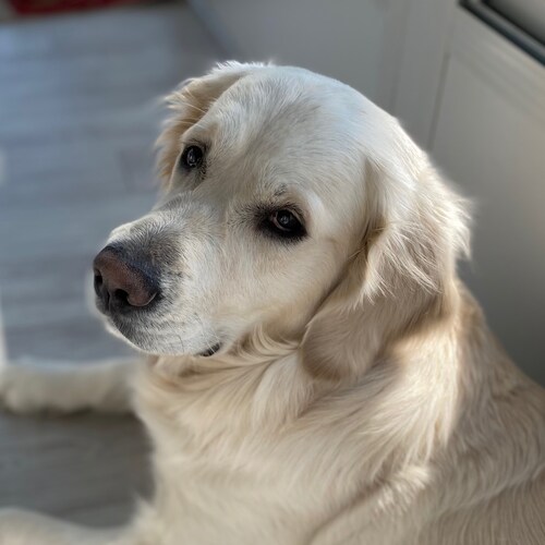 A Patriot that wants her country back! 🇺🇸🇺🇸🇺🇸 Loyal Trumper deplorable!