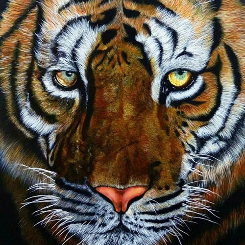 Visit Sandyga2's profile on GETTR. View their posts, photos, videos, and connect with them on the social platform.