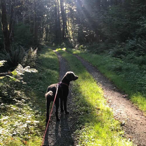 Stuck in a blue state surrounded by liberals.