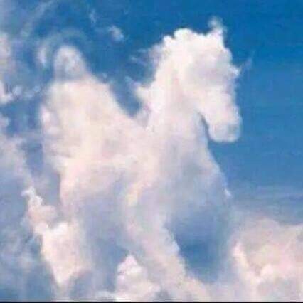 Old, educated and opinionated Conservative Christian. Don't mess with me! Banned from Twit for life and still standing.