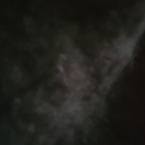 Visit Dad from Michigan's profile on GETTR. View their posts, photos, videos, and connect with them on the social platform.