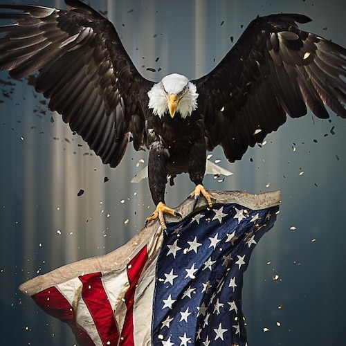 American/Italian 
Keepthefaith America 
in God we Trust 🙏🇺🇸
President Trump 2024. Close the boarders, drill baby drill, stop corruption in our world