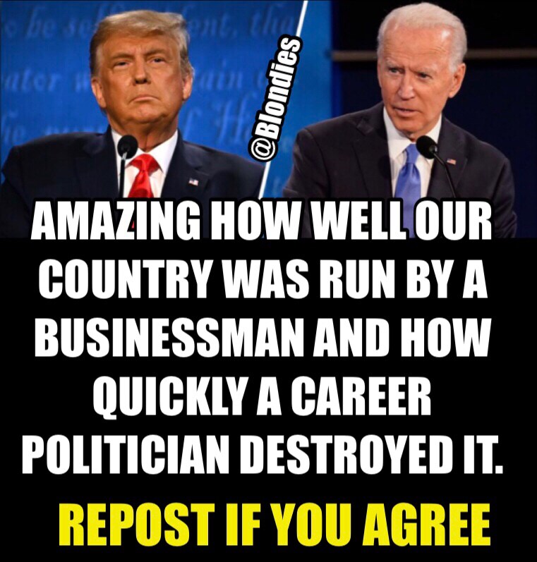 CONNECT MAGA 382
π΄Follow @Blondies
βͺοΈRepost
π΅FW&Comment
#BlondiesTrains #DT47 #FSFA
@Blondies @ace13
B @Irene64 @Greylady
@BelannF @JBake76
L @tex4djt