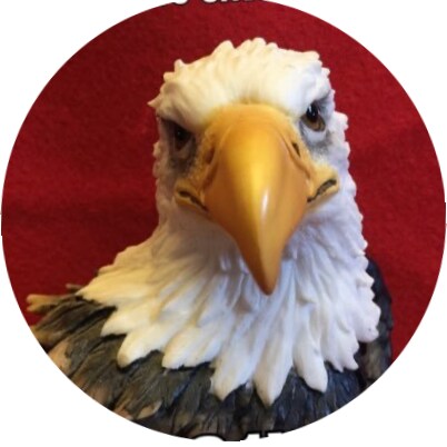 🇺🇸 US Army (Ret) ✝️ God, Country, the Constitution, family, firends & my troops. 17th IO Gp. Find me on Gab &Truth Soc...