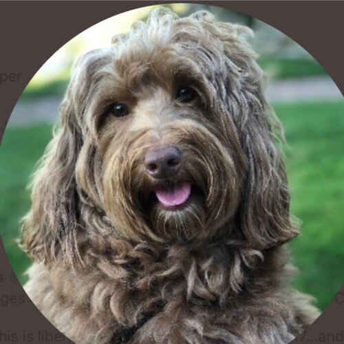 You may say I'm a Trumper, but I'm not the only one.