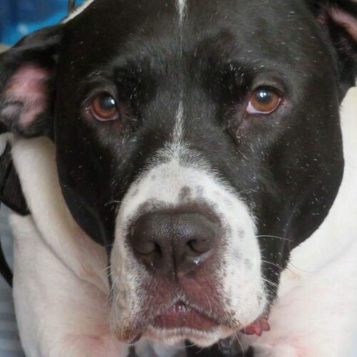 How you doin!? Trump Won!