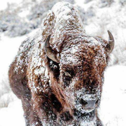 Freethinking black man. Retired U. S. Army 33 years. beaware of the propaganda machine.