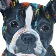 Pet Nation's Motto - 'Let Freedom Reign' & 'Take Back America' We Love God, Country, Faith, Family,President Trump, and ...