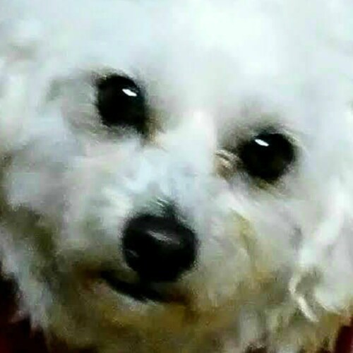 Visit deYampertRich's profile on GETTR. View their posts, photos, videos, and connect with them on the social platform.