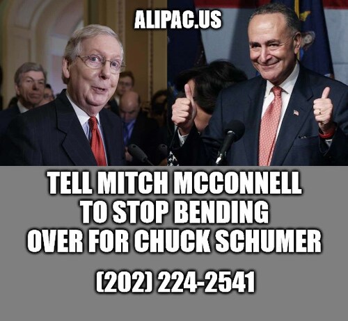 Tell Mitch McConnell to stop bending over for Chuck Schumer (202) 224-2541
