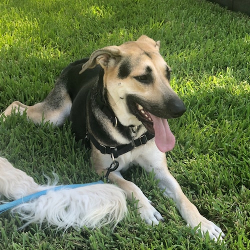 Texas guy. Electronics Engineer (yeah #science), Aggie Dad.  More Freedom, Less Government. Trump Won, Twitter Sucks, an...