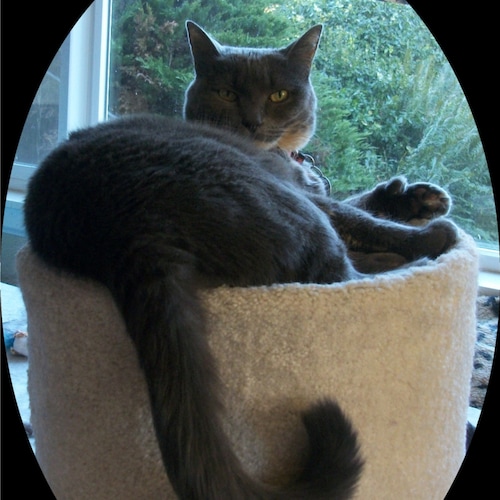 "I may disapprove of what you say, but I will defend to the death your right to say it". RPs are not necessarily endorse...