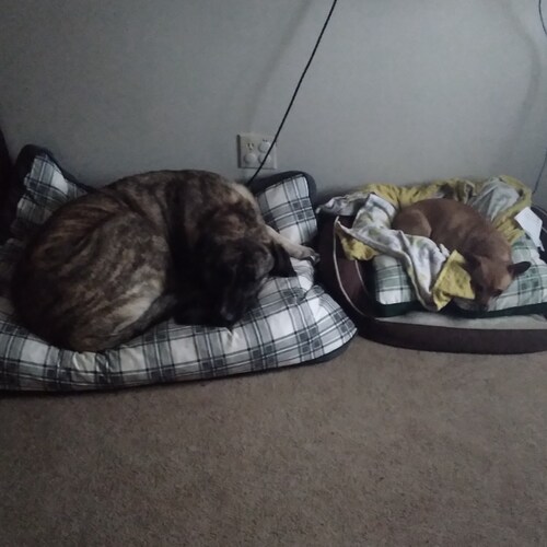 God, Family, Country in that order is how I roll.  Married 25 years father of 8. Freedom and Truth leading the way.