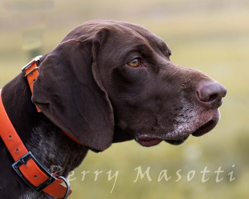 View perry1776's post on GETTR. Join the discussion, share your thoughts, and connect with the community.