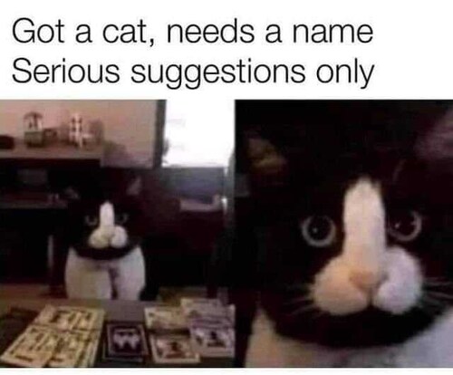 View roguemike's post on GETTR. Join the discussion, share your thoughts, and connect with the community.