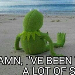 Looks like we are not in Kansas anymore.  🍊