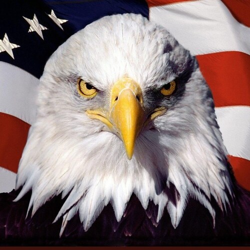 Trump Republican.  Reagan Conservative.  #BlueLivesMatter #ArmyStong  My Pronouns are Patriot/MAGA