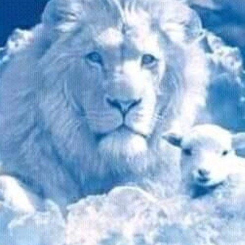 Visit LadyTray's profile on GETTR. View their posts, photos, videos, and connect with them on the social platform.